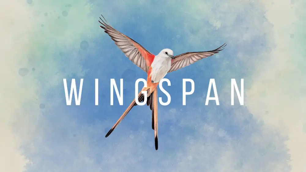 [NS]展翅翱翔|Wingspan中文-猫叔电玩