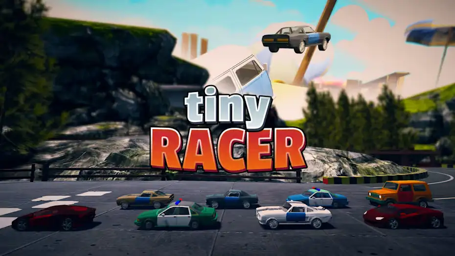 [NS]小赛车手|Tiny Racer-猫叔电玩