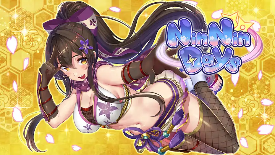 [NS]和女忍者的同居生活|NinNinDays中文-猫叔电玩