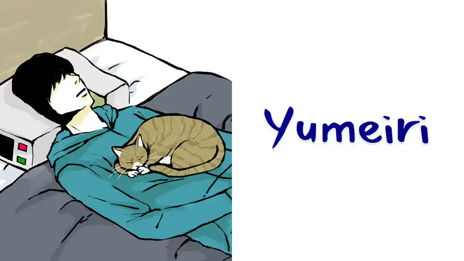 [NS]回梦之旅|Yumeiri中文-猫叔电玩