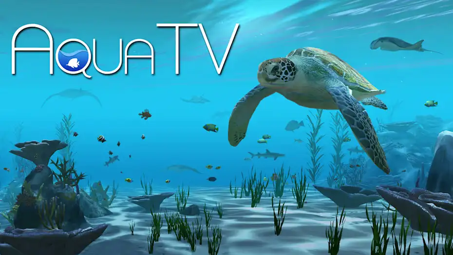 [NS]水族馆电视|Aqua TV-猫叔电玩