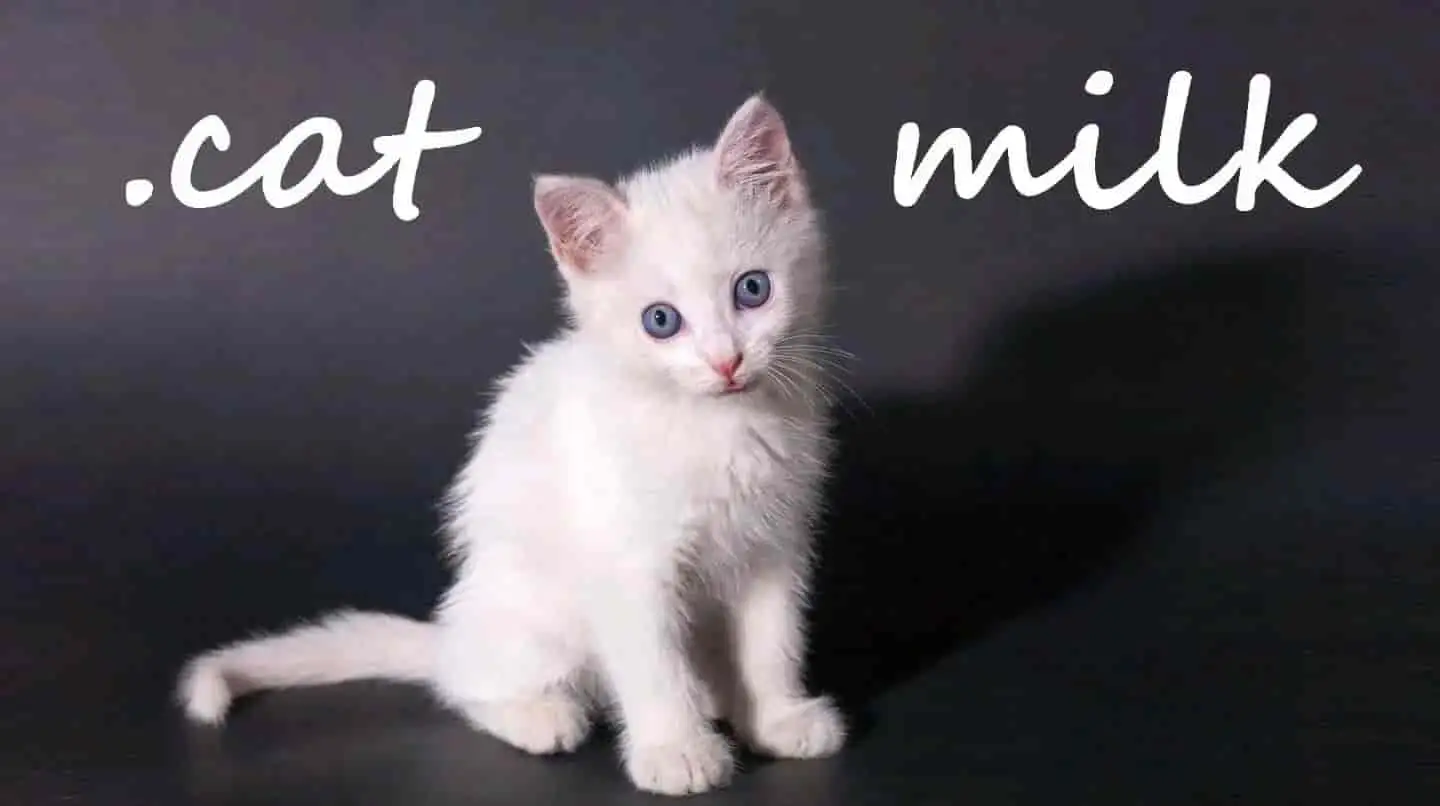 [NS]牛奶猫|小奶猫|Cat Milk-猫叔电玩
