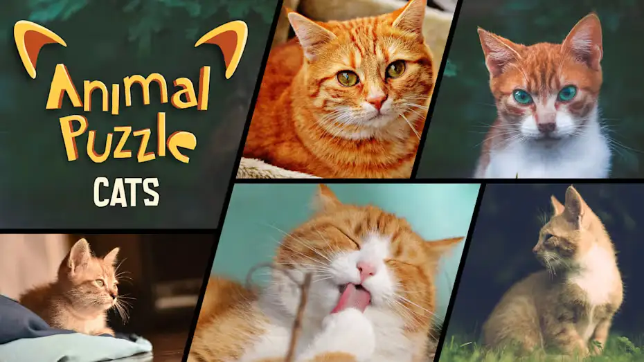 [NS]动物拼图：猫|Animal Puzzle Cats中文-猫叔电玩