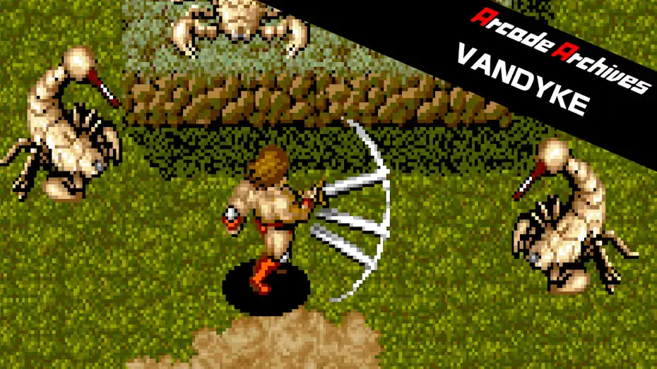 [NS]街机博物馆：班代克|Arcade Archives: Vandyke-猫叔电玩