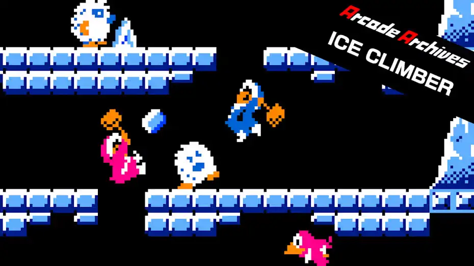 [NS]街机博物馆：敲冰块|Arcade Archives: Ice Climber-猫叔电玩
